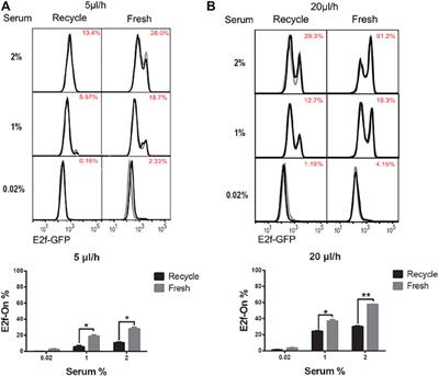 Extracellular Fluid Flow Induces Shallow Quiescence Through Physical and Biochemical Cues